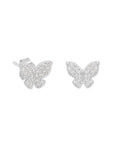 Boucles d'oreilles puces INCANTEVOLE