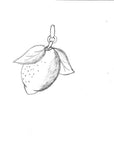 CITROEN ketting | citroen